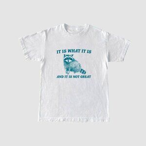 It Is What It Is Not Great Raccoon Meme Funny Vintage T-Shirt 51